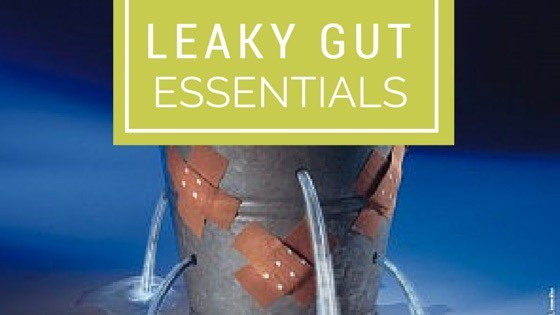 Leaky_Gut_Dr.AfrouzDemehri_AimforWomen