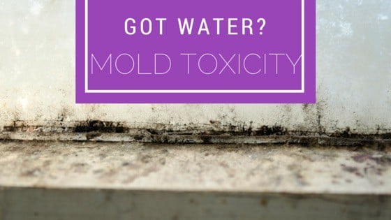 Mold_toxicity_natural_treatment_Dr_Afrouz-Demehri